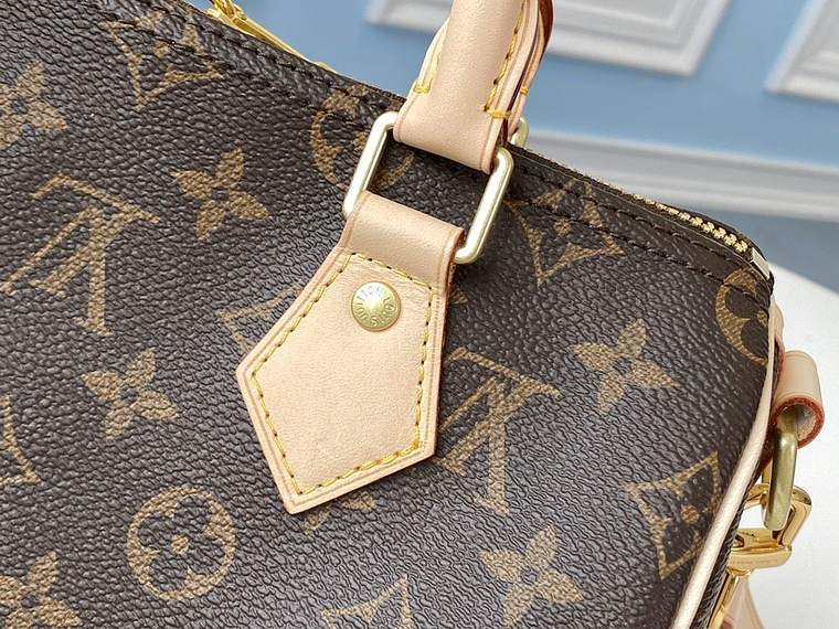 LOUIS VUITTON NANO SPEEDY BAG 8