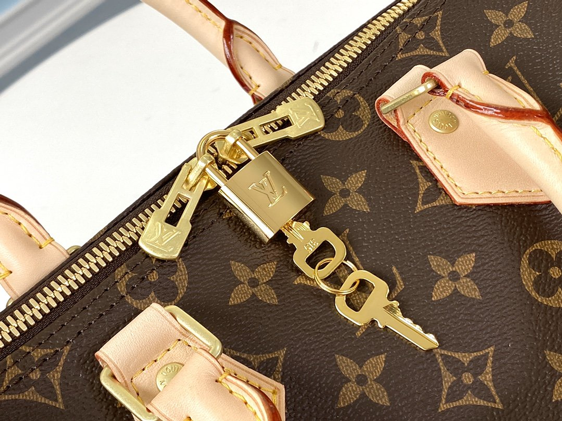 LOUIS VUITTON NANO SPEEDY BAG 9