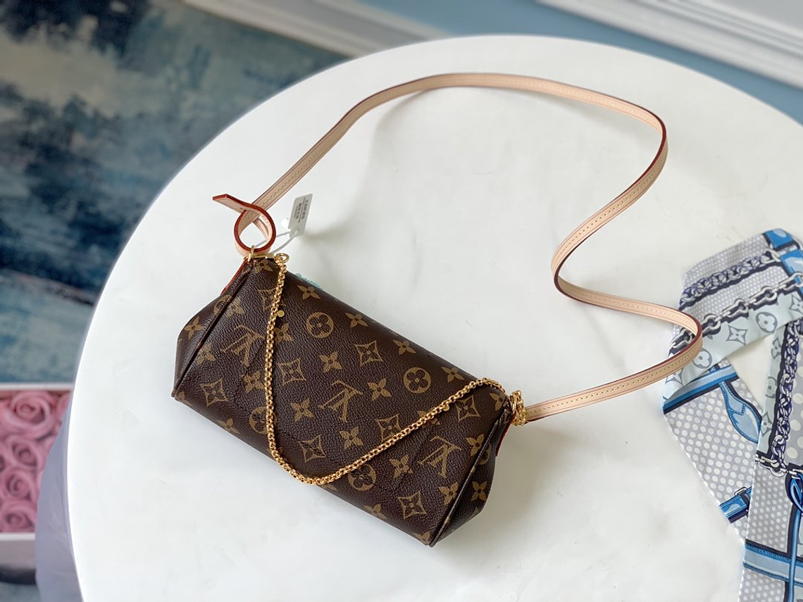 LOUIS VUITTON FAVORITE BAG 8