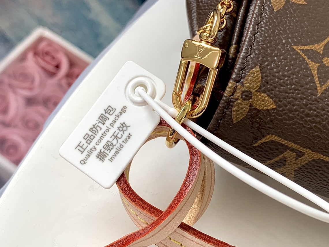 LOUIS VUITTON FAVORITE BAG 9