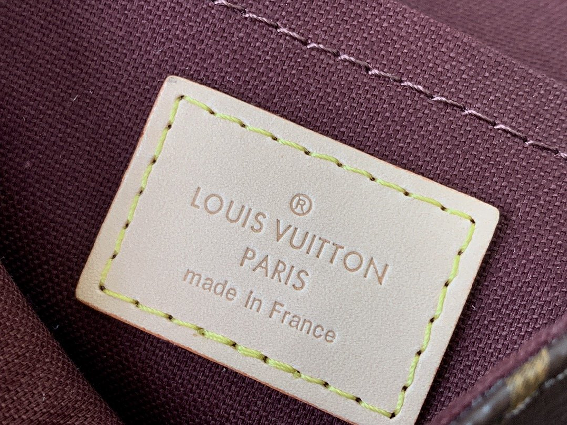 LOUIS VUITTON FAVORITE BAG 10