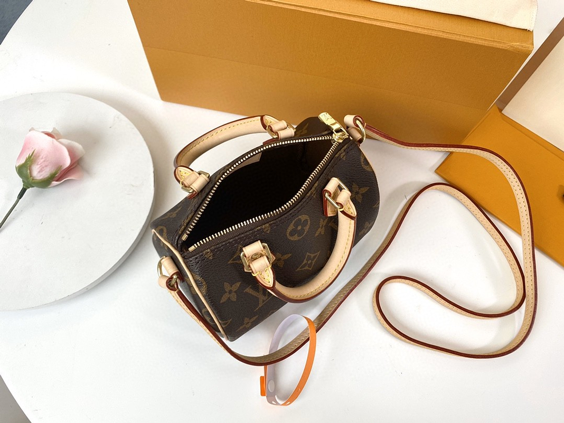 LOUIS VUITTON NANO SPEEDY BAG 11