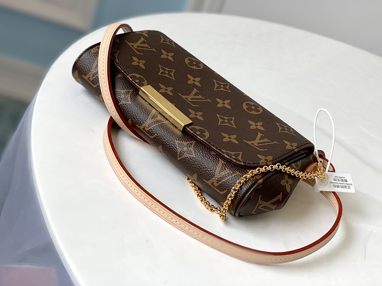 LOUIS VUITTON FAVORITE BAG 11