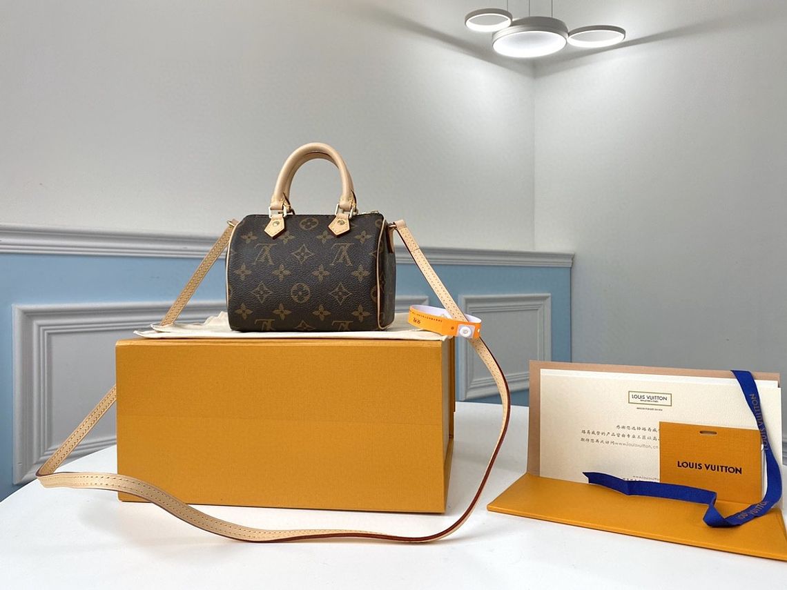 LOUIS VUITTON NANO SPEEDY BAG 12