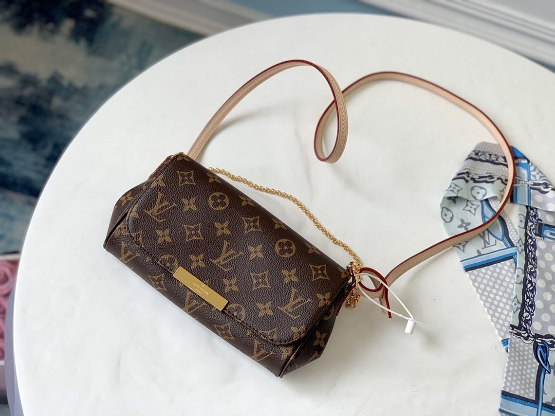 LOUIS VUITTON FAVORITE BAG 14