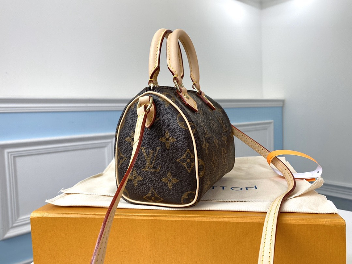 LOUIS VUITTON NANO SPEEDY BAG 14