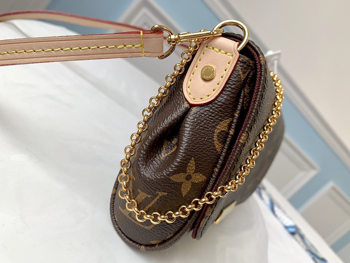 LOUIS VUITTON FAVORITE BAG 15