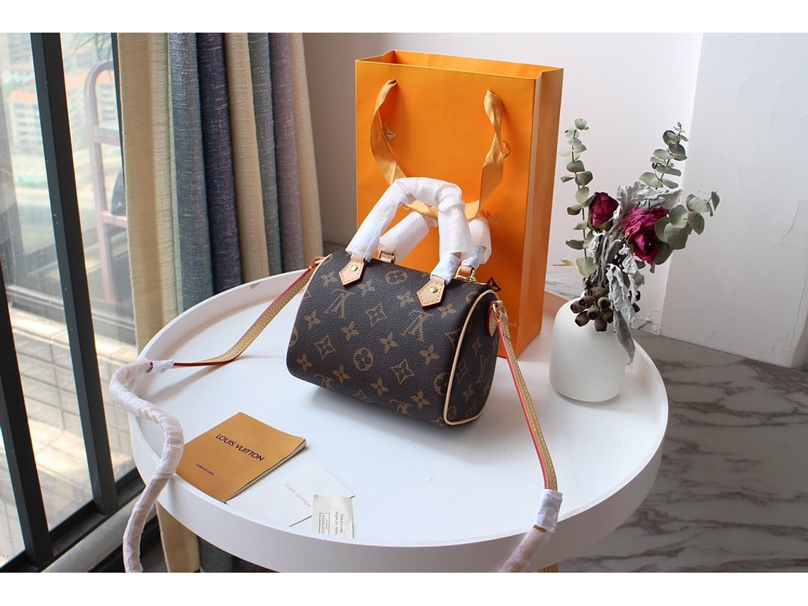 LOUIS VUITTON NANO SPEEDY BAG 16
