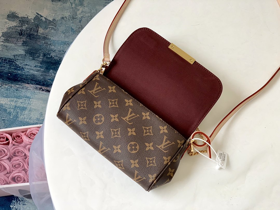 LOUIS VUITTON FAVORITE BAG 16