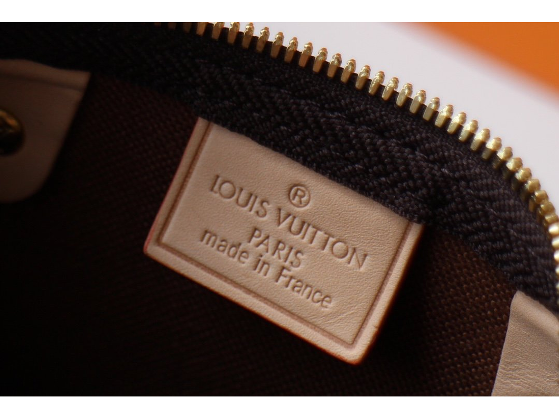 LOUIS VUITTON NANO SPEEDY BAG 19