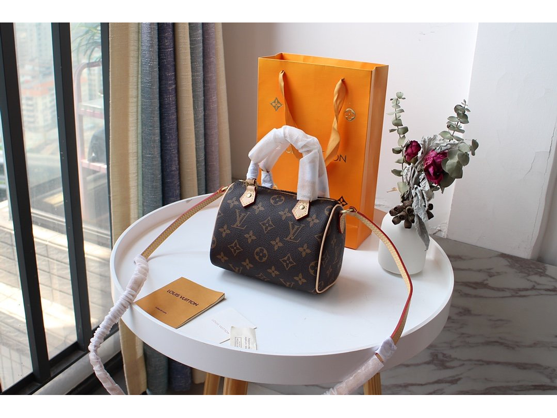 LOUIS VUITTON NANO SPEEDY BAG 26