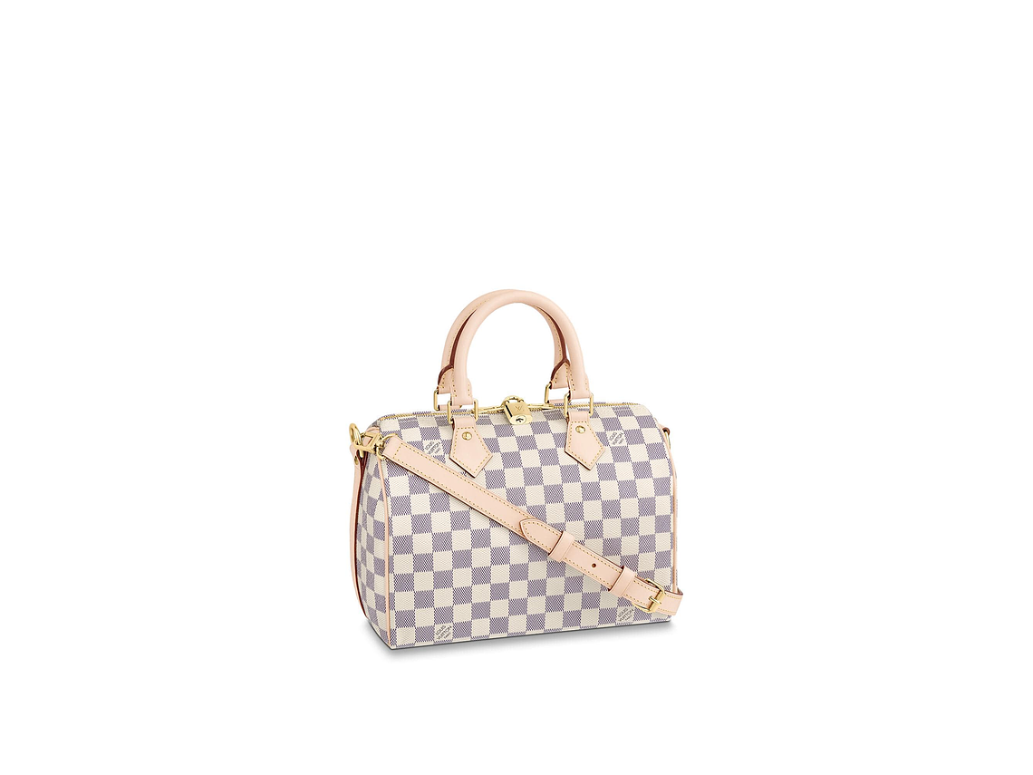 LOUIS VUITTON NANO SPEEDY BAG 1