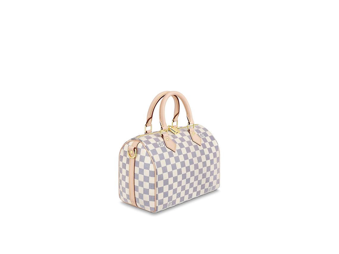 LOUIS VUITTON NANO SPEEDY BAG 4