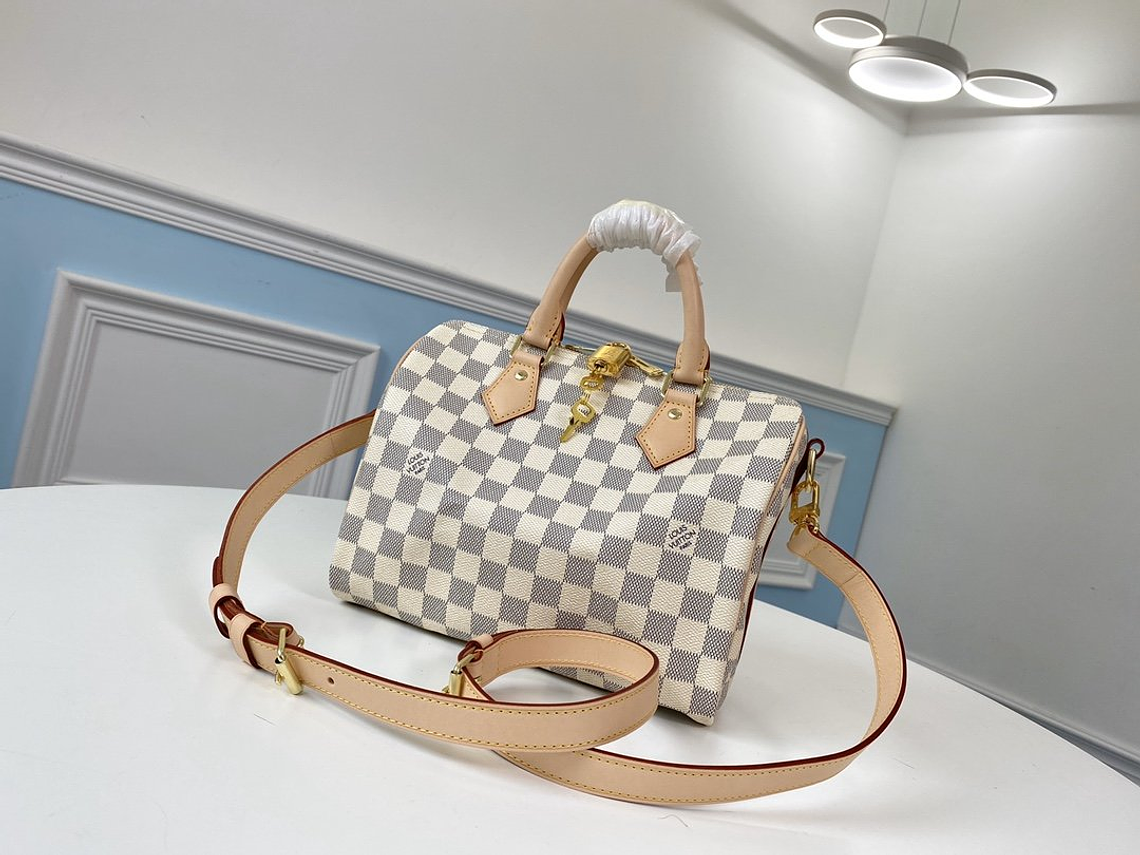 LOUIS VUITTON NANO SPEEDY BAG 6