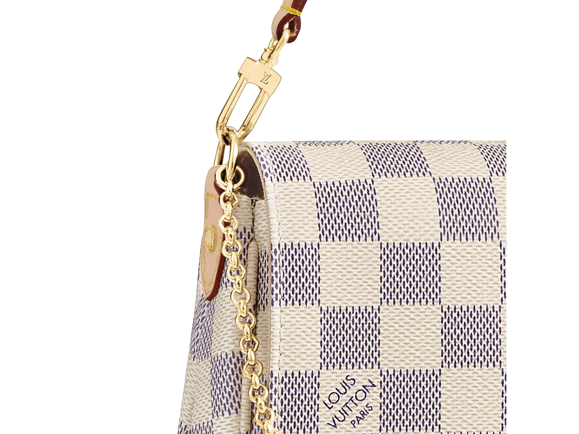 LOUIS VUITTON FAVORITE BAG 3