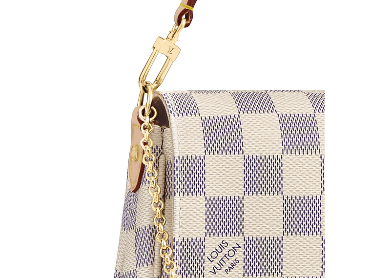 LOUIS VUITTON FAVORITE BAG 3