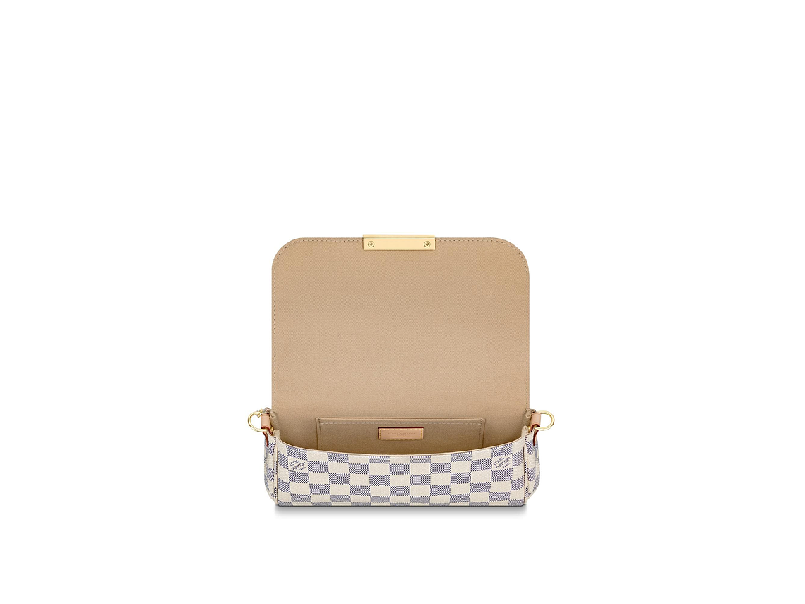 LOUIS VUITTON FAVORITE BAG 5