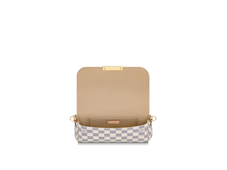 LOUIS VUITTON FAVORITE BAG 5