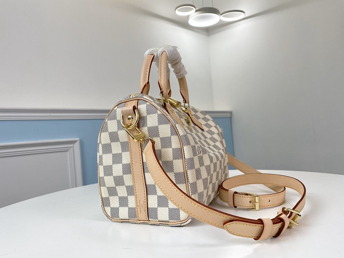 LOUIS VUITTON NANO SPEEDY BAG 12