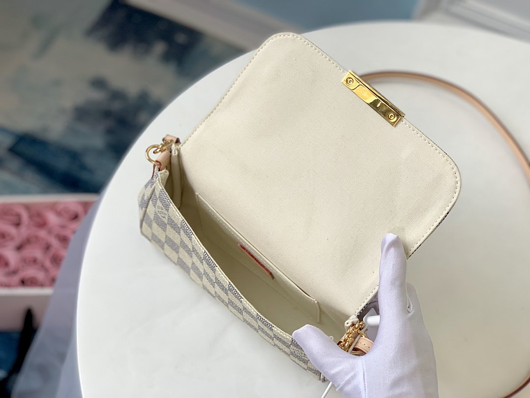 LOUIS VUITTON FAVORITE BAG 8