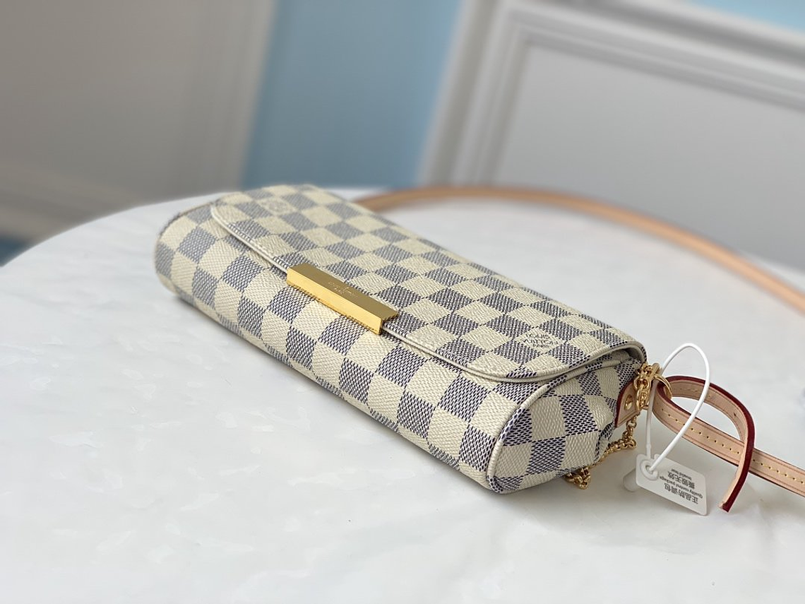LOUIS VUITTON FAVORITE BAG 9