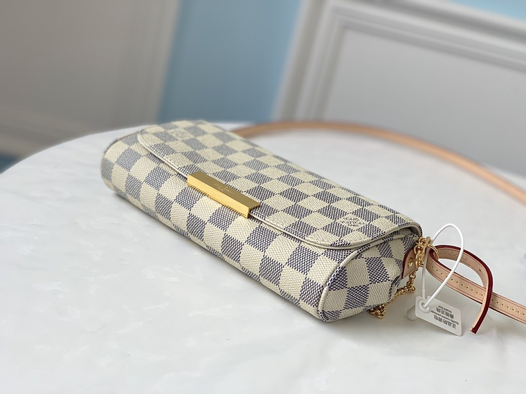 LOUIS VUITTON FAVORITE BAG 9
