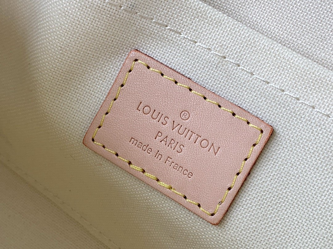 LOUIS VUITTON FAVORITE BAG 10