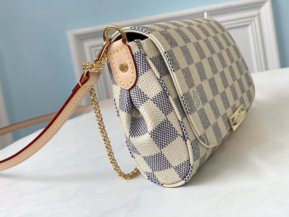 LOUIS VUITTON FAVORITE BAG 11