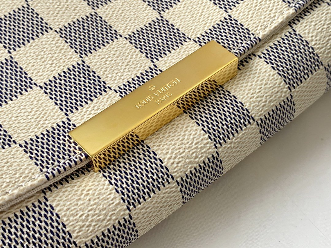 LOUIS VUITTON FAVORITE BAG 14