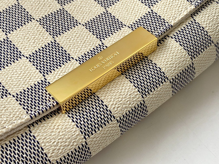 LOUIS VUITTON FAVORITE BAG 14