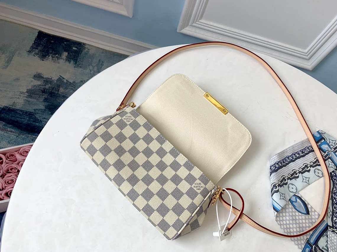 LOUIS VUITTON FAVORITE BAG 15