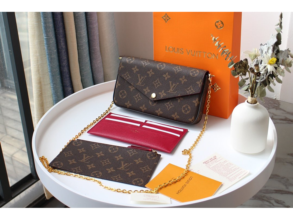 LOUIS VUITTON POCHETTE F¨¦LICIE CHAIN BAG 3