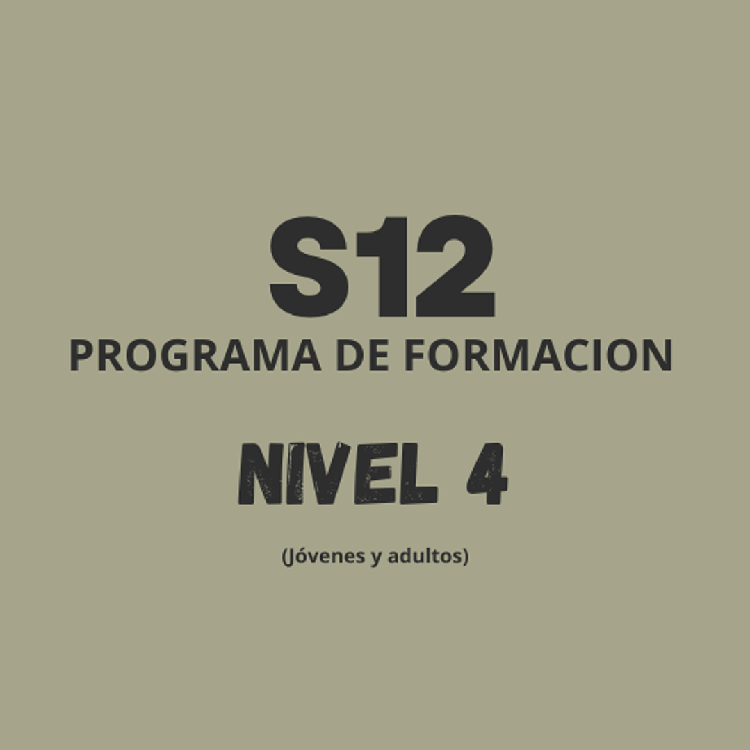 Studio 12 Baile Formación Nivel 4 1