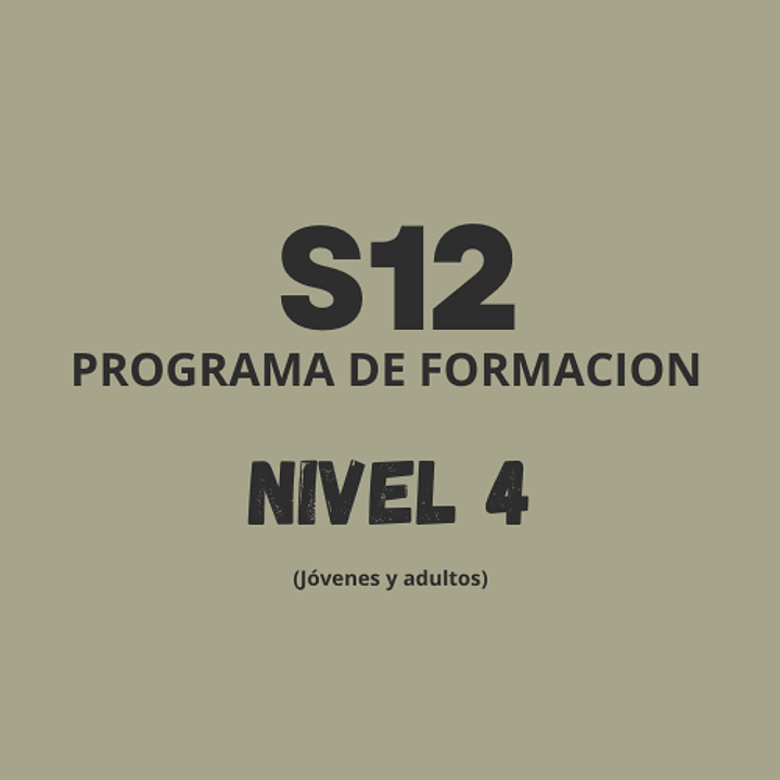Studio 12 Baile Formación Nivel 4 1