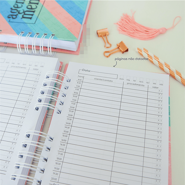 Artes para Caderno de Agendamentos Arquivo em Pdf 5