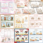 Pacote Cadernetas De Vacina E Livro Infantil Arquivos em Pdf e Jpg 3