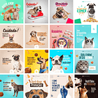 Pack Canva pet Shop Petshop Templates Editáveis 39 Artes + Bônus 2