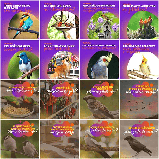 Pack Canva Pet Shop Templates Editáveis 200 Artes + Legendas 6