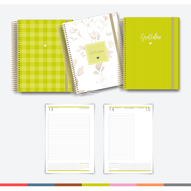 Arquivo Agenda MultiColor 2024 em Pdf  5