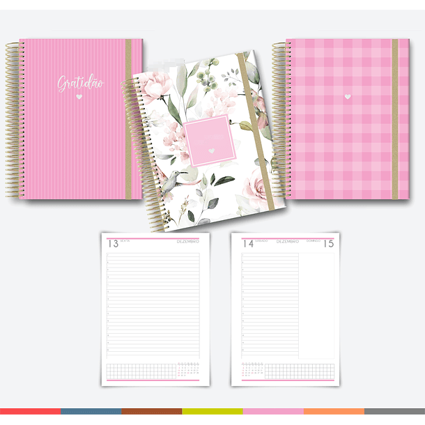 Arquivo Agenda MultiColor 2024 em Pdf  6