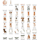 Kit Digital Natal Animais e Outros Arquivos em Png 4