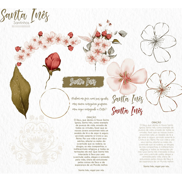 Kit Digital Santa Inês Aquarela em Png  4