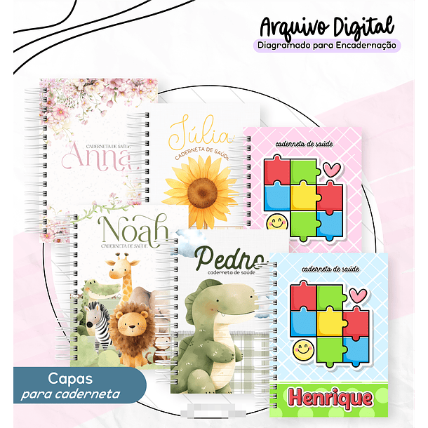 Arquivo Cadernetas da Saúde em Pdf 8