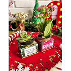 Arquivos de Corte Mimos Prontos Natal em Studio 15