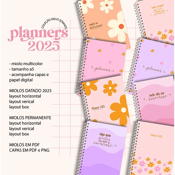 Arquivo Planner Financeiro 2025 em Pdf  1