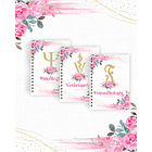 Coleção Digital Agendamentos 2026 Completa 2