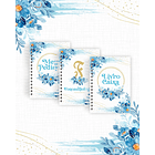 Coleção Digital Agendamentos 2026 Completa 5