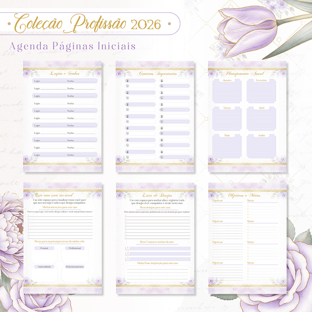 Coleção Profissões Feminina 2026 Arquivo em Pdf 6