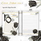 Coleção Profissões Feminina 2026 Arquivo em Pdf 12