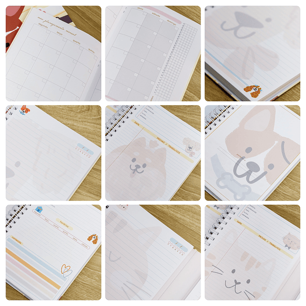 Arquivos encadernação Volta as Aulas Bichinhos Arquivo em Pdf  4